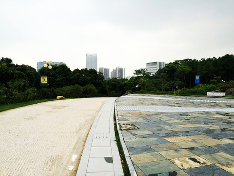 深圳中山公園風景