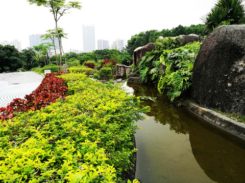 深圳中山公園景色