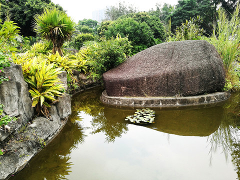 深圳中山公園風(fēng)景