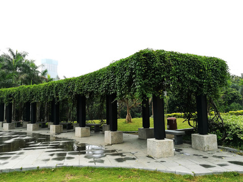 深圳中山公園