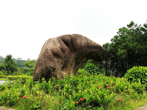 深圳中山公園風光
