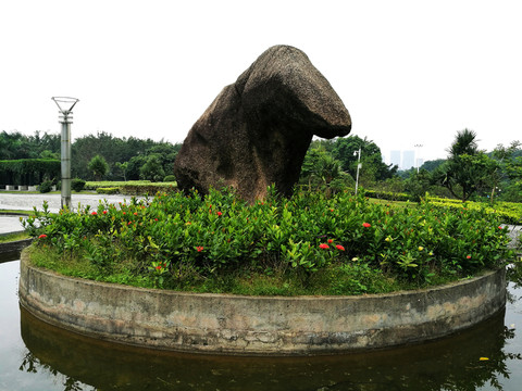 深圳中山公園風(fēng)景