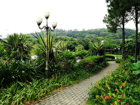 深圳中山公園