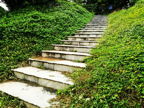 深圳中山公園小路