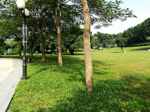 深圳中山公園景色