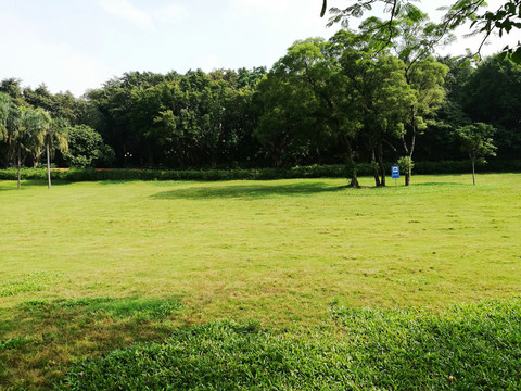 深圳中山公園綠色草坪