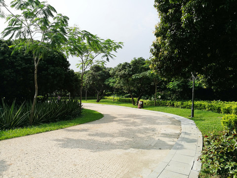 深圳中山公園