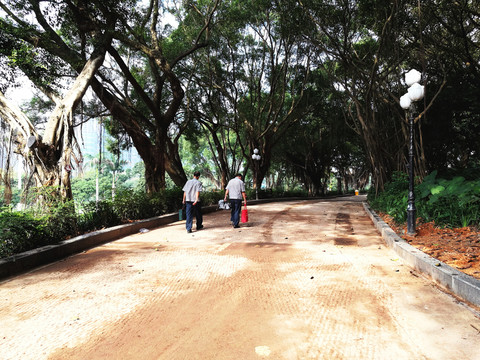 深圳中山公園