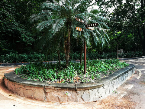 深圳中山公園