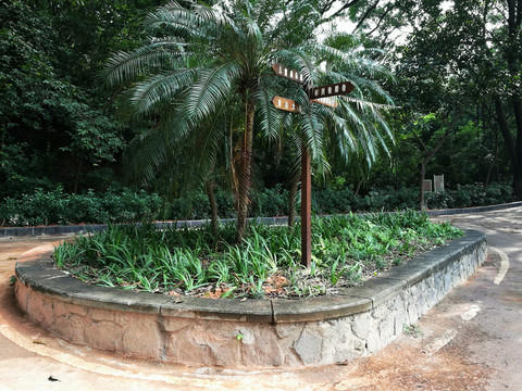 深圳中山公園