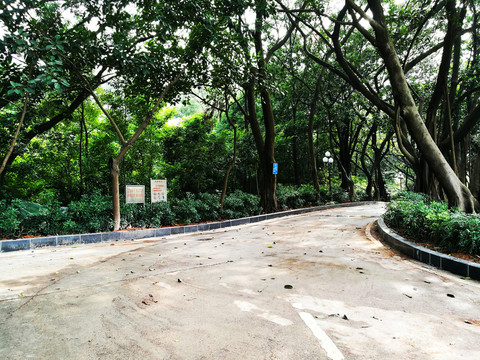深圳中山公園景區(qū)