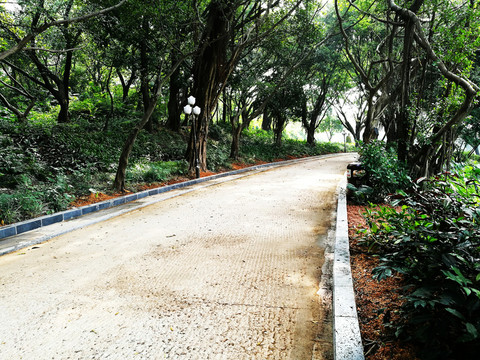 深圳中山公園風(fēng)景