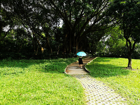 深圳中山公園草坪