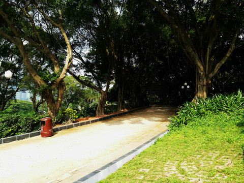 深圳中山公園