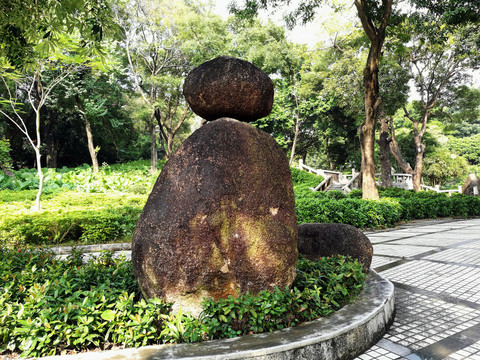 深圳中山公園風景