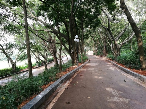 深圳中山公園景點(diǎn)