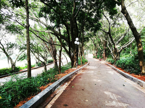 深圳中山公園道路