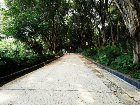 深圳中山公園道路