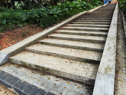 深圳中山公園