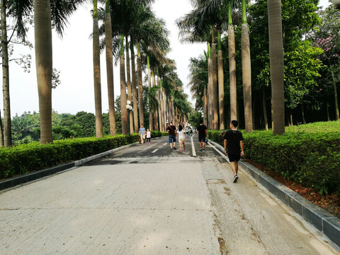 深圳中山公園