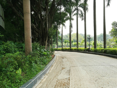 深圳中山公園風(fēng)景
