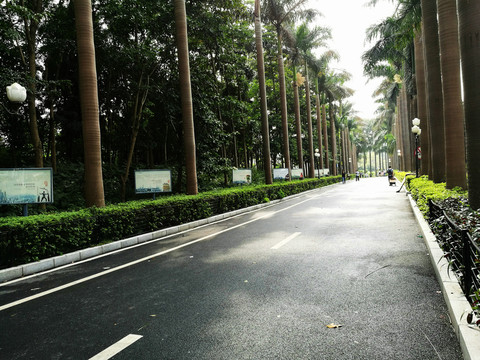 深圳南山中山公園