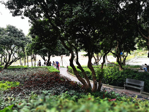 深圳中山公園