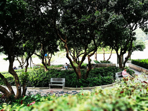 深圳中山公園景色