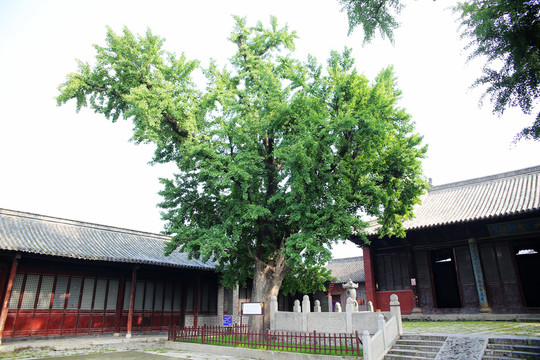 壽縣孔廟