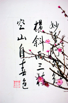 書法與梅花