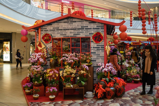 春節(jié)花市 廟會(huì)
