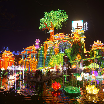 2017自貢燈會(huì) 大圖