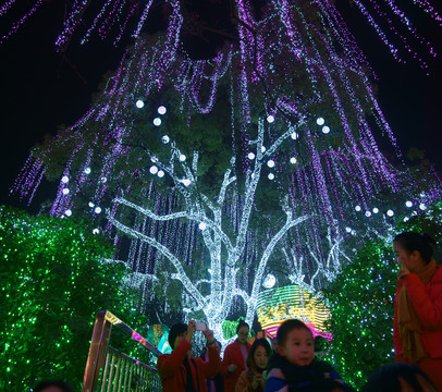 2017自貢燈會(huì)