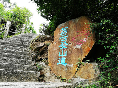 深圳塘朗山郊野公園風景