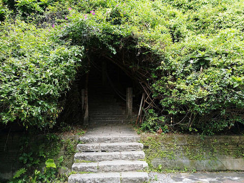深圳塘朗山郊野公園風景