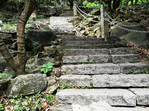 深圳塘朗山郊野公園風景
