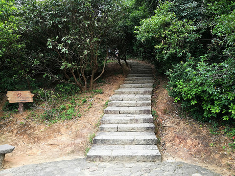 塘朗山郊野公園風(fēng)景