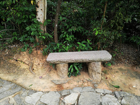 深圳塘朗山公園 休息石凳