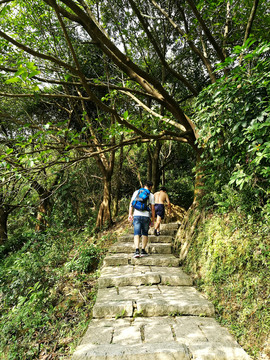塘朗山郊野公園風(fēng)景