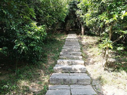 深圳塘朗山郊野公園風(fēng)景