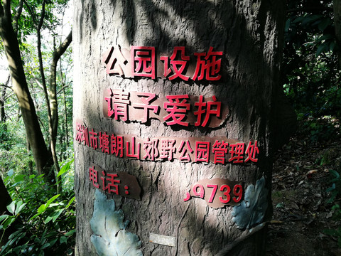深圳塘朗山公園