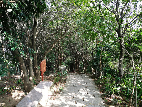 深圳塘朗山郊野公園風(fēng)景