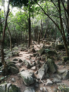 深圳塘朗山郊野公園風(fēng)景