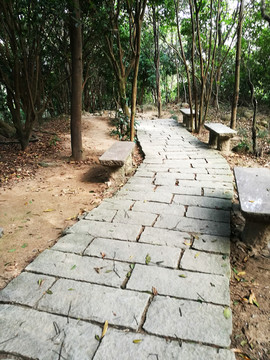 深圳塘朗山郊野公園風(fēng)景