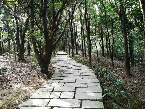 深圳塘朗山郊野公園風(fēng)景