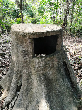 深圳塘朗山公園 垃圾桶