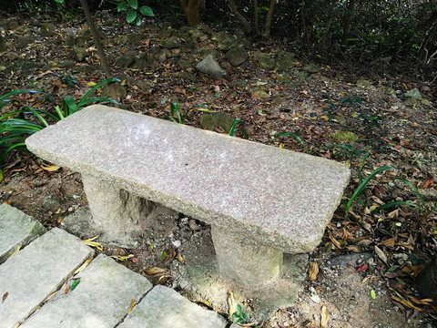 塘朗山郊野公園風(fēng)景