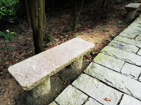 塘朗山郊野公園風景