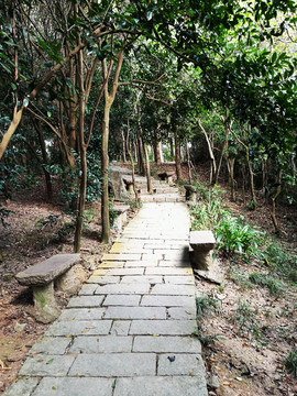 深圳塘朗山郊野公園
