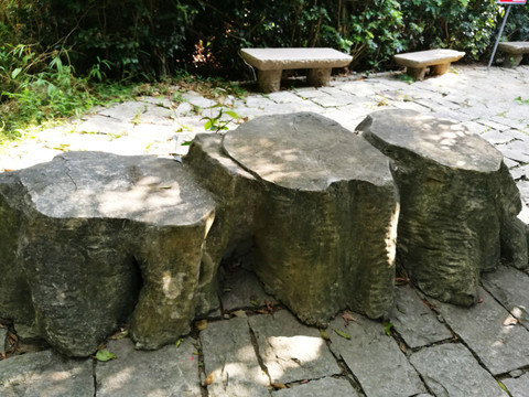 深圳塘朗山公園 木頭樹墩休息凳